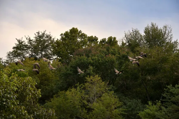 Foto aus „Hume, VA – Farm life Fotostrecke“