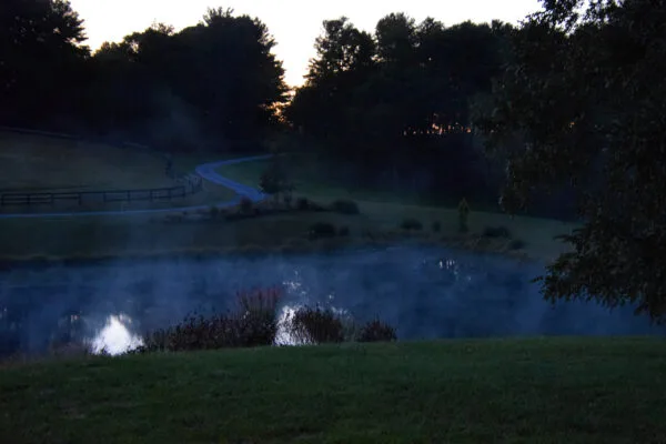Foto aus „Hume, VA – Farm life Fotostrecke“