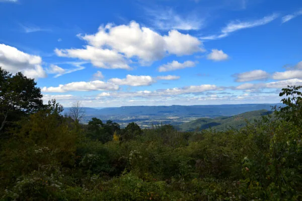 Foto aus „Shenandoah Nationalpark – Skyline Drive Fotostrecke“