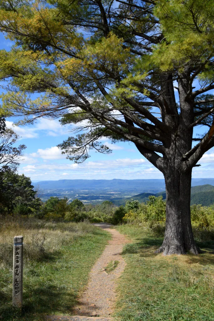 Foto aus „Shenandoah Nationalpark – Skyline Drive Fotostrecke“
