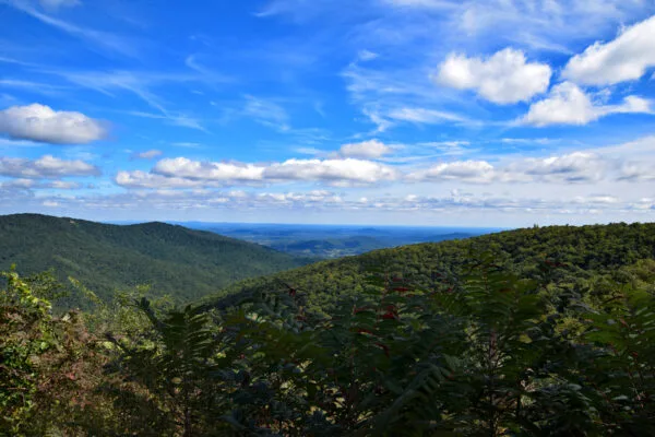 Foto aus „Shenandoah Nationalpark – Skyline Drive Fotostrecke“