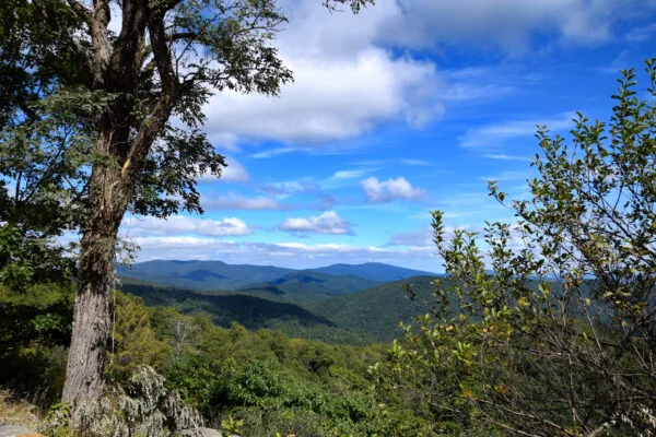 Foto aus „Shenandoah Nationalpark – Skyline Drive Fotostrecke“