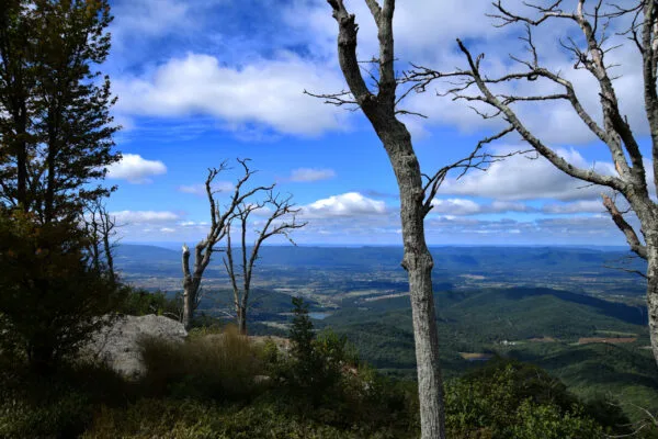 Foto aus „Shenandoah Nationalpark – Skyline Drive Fotostrecke“