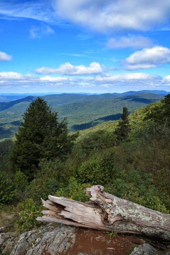 Foto aus „Shenandoah Nationalpark – Skyline Drive Fotostrecke“