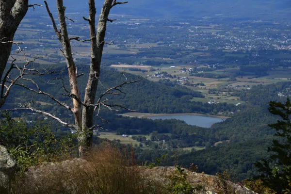 Foto aus „Shenandoah Nationalpark – Skyline Drive Fotostrecke“