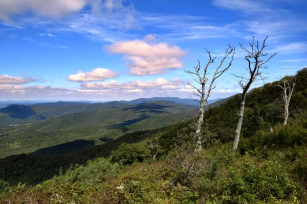 Foto aus „Shenandoah Nationalpark – Skyline Drive Fotostrecke“