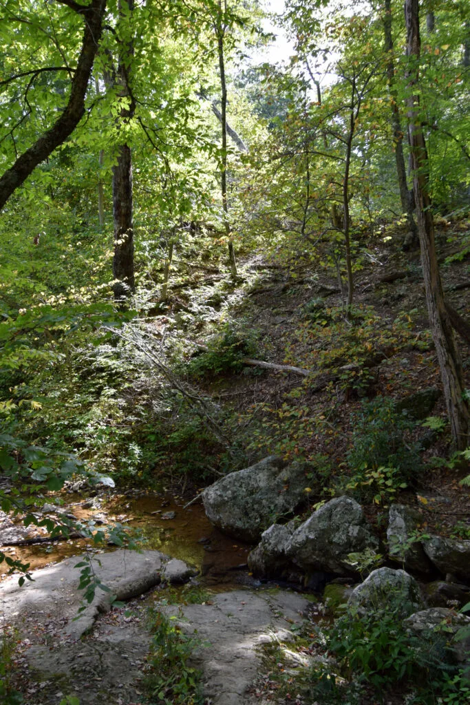 Foto aus „Shenandoah Nationalpark – Skyline Drive Fotostrecke“
