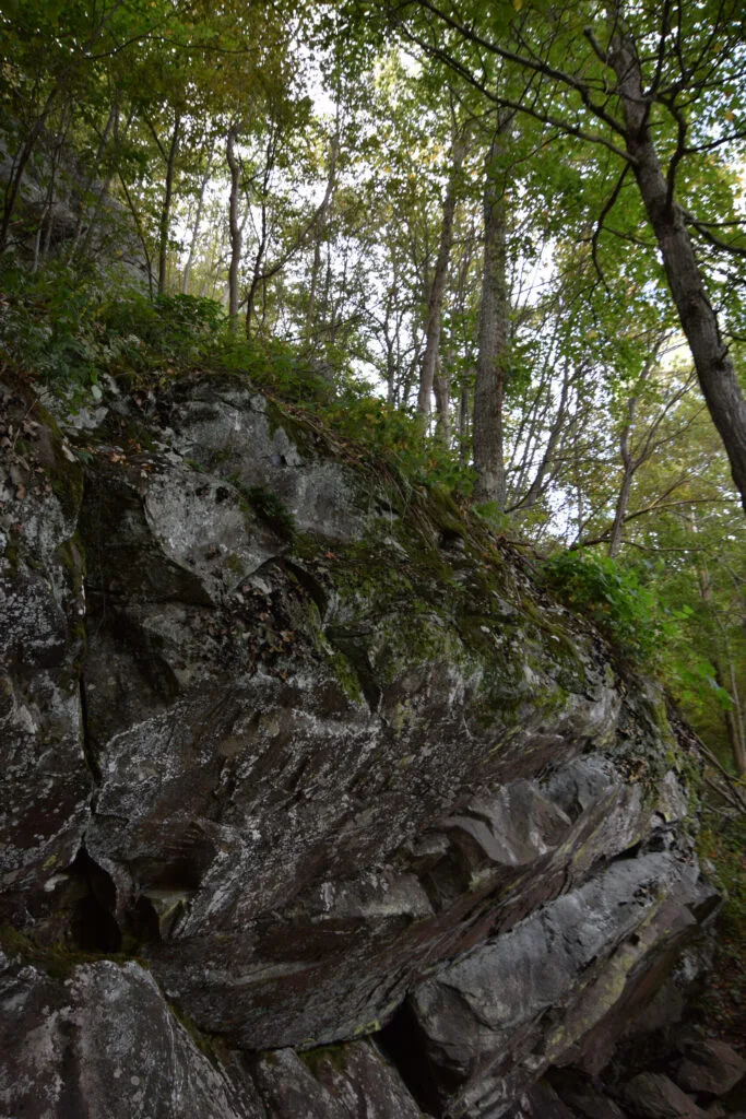 Foto aus „Shenandoah Nationalpark – Skyline Drive Fotostrecke“