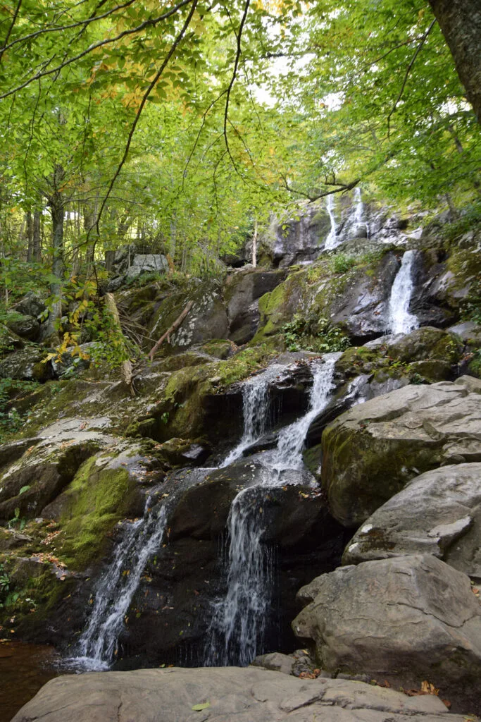 Foto aus „Shenandoah Nationalpark – Skyline Drive Fotostrecke“