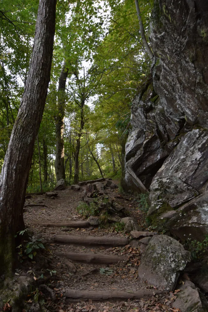 Foto aus „Shenandoah Nationalpark – Skyline Drive Fotostrecke“