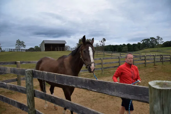 Foto aus „Hume, VA – Farm life Fotostrecke“