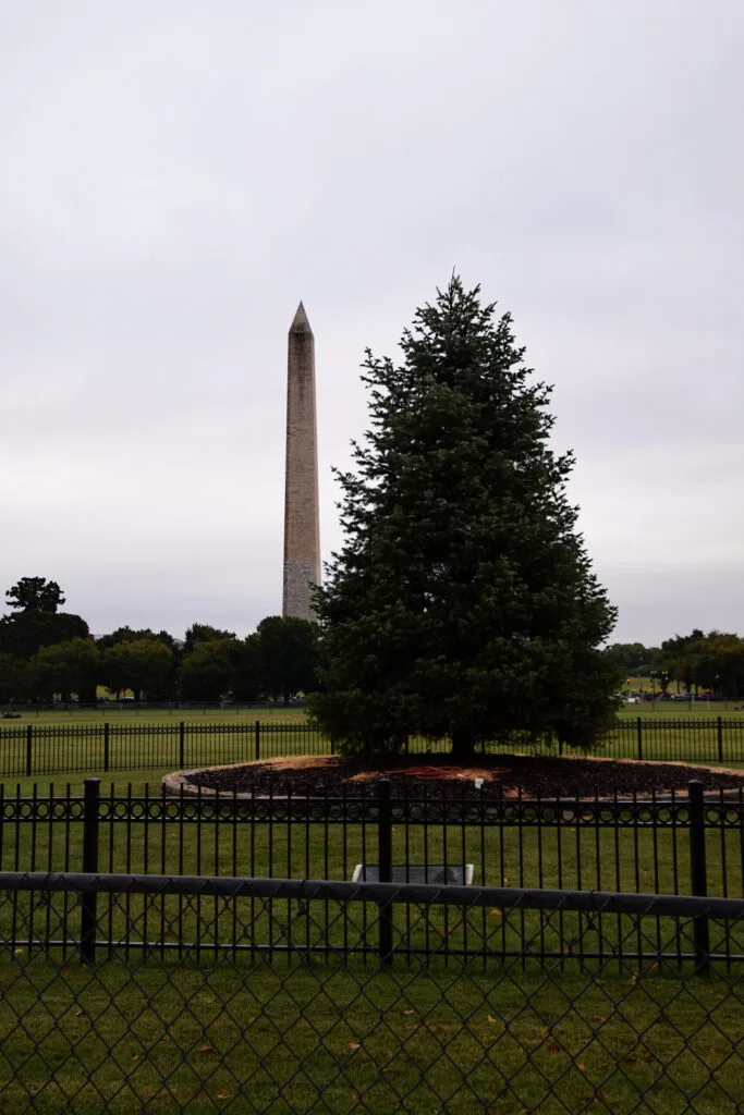 Foto aus „Washington, D.C.“