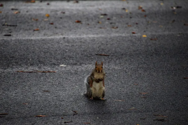 Foto aus „Washington, D.C.“