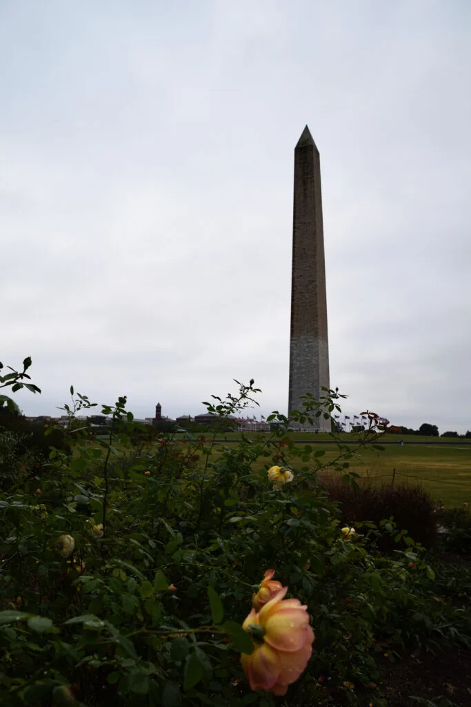 Washington Monument