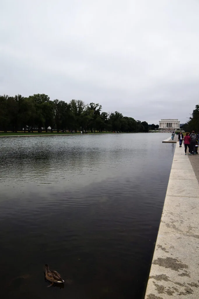 Reflecting Pool