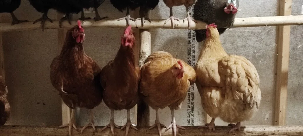 Foto aus „Hume, VA – Noch ein paar Handyfotos“