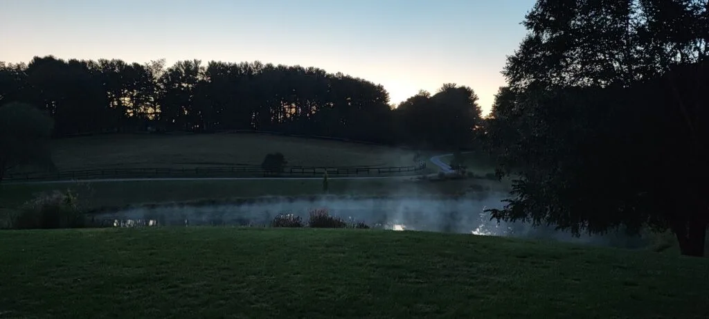 Morgenstimmung