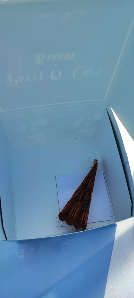Schaut ein bisschen verloren aus in der riesigen Schachtel ;)