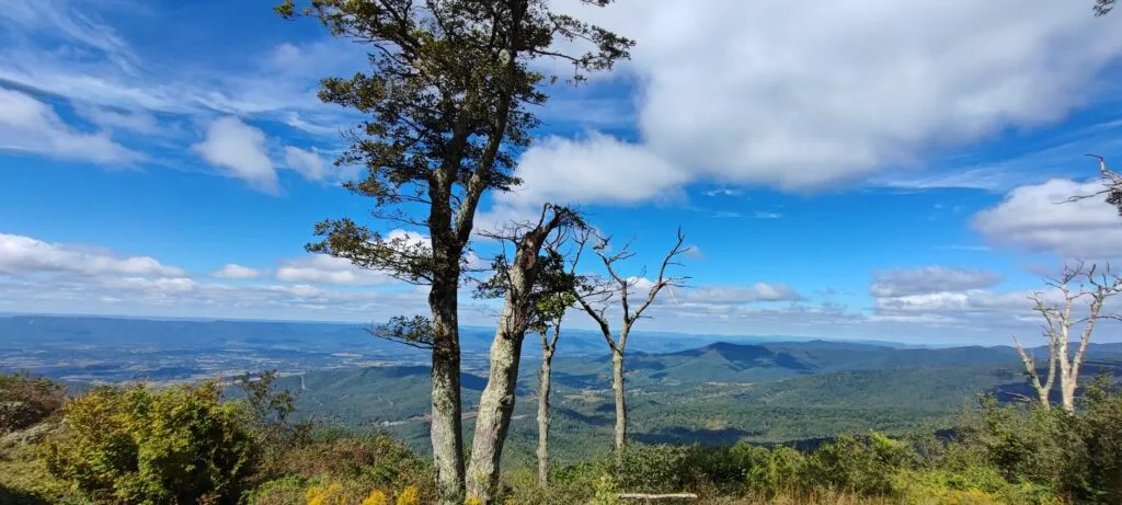 Foto aus „Shenandoah Nationalpark – Skyline Drive Fotostrecke“