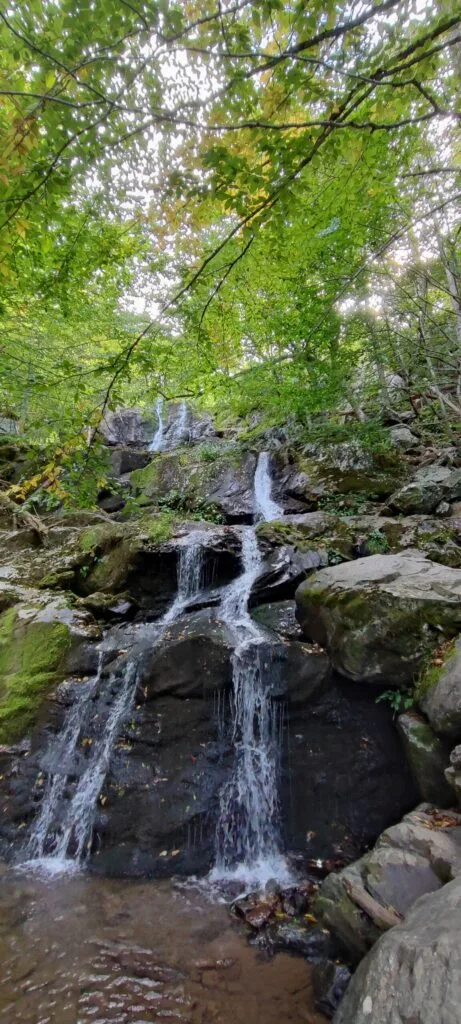 Foto aus „Shenandoah Nationalpark – Skyline Drive Fotostrecke“