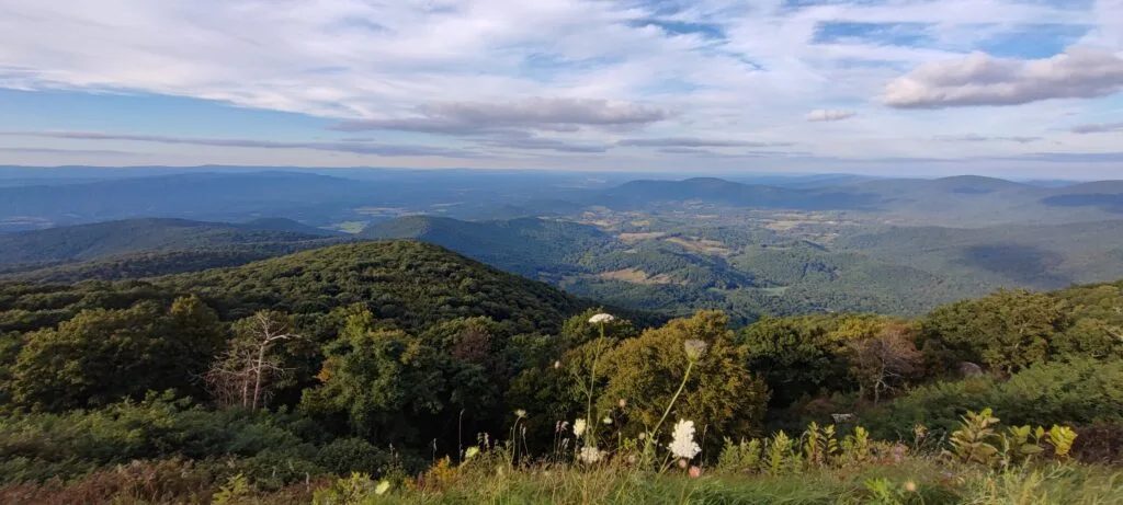 Foto aus „Shenandoah Nationalpark – Skyline Drive Fotostrecke“
