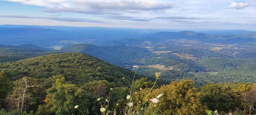 Foto aus „Shenandoah Nationalpark – Skyline Drive Fotostrecke“