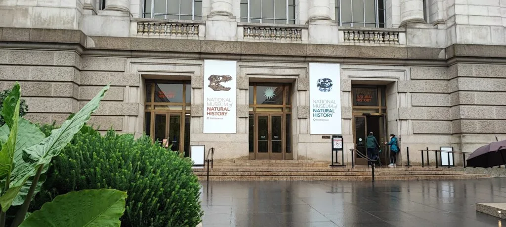 National Museum of Natural Art