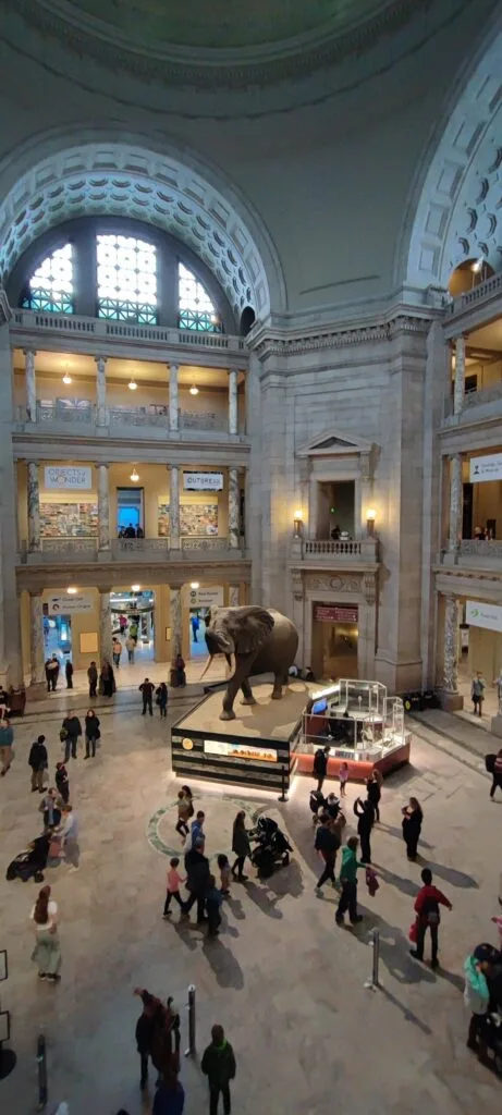 Foto aus „Washington D.C. – Handyfotos“