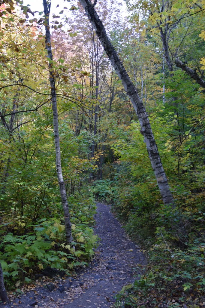 Foto aus „Montréal – Tag 3“