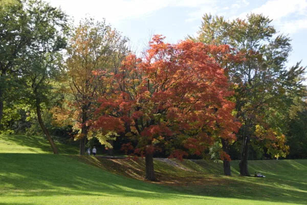 Foto aus „Montréal – Tag 3“