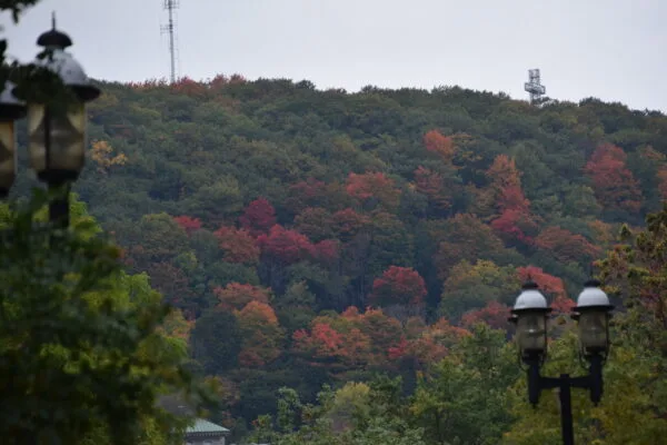 Foto aus „Montréal – Tag 4 und Tag der Abreise“