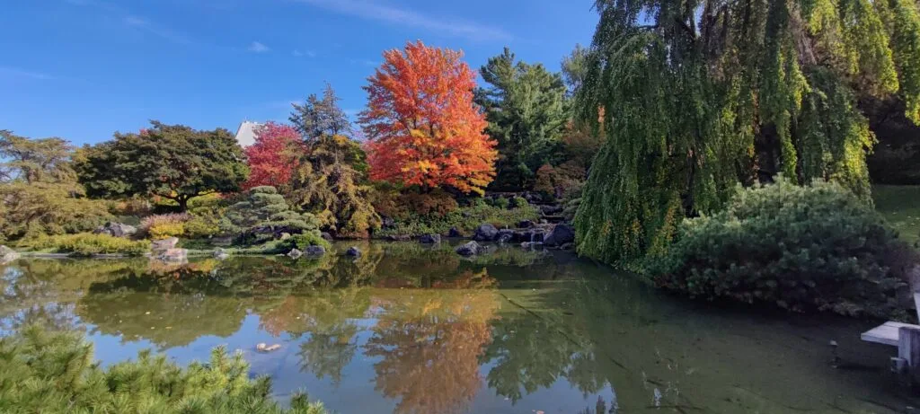 Foto aus „Montréal – Tag 3 Handyfotos“