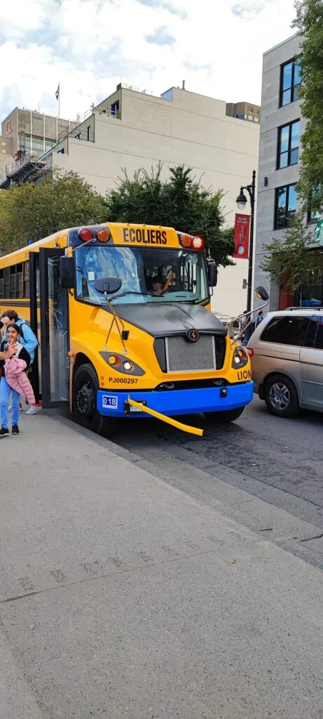 Die gelbe Stange soll verhindern, dass wer vor dem Bus über die Straße läuft (glaub ich)