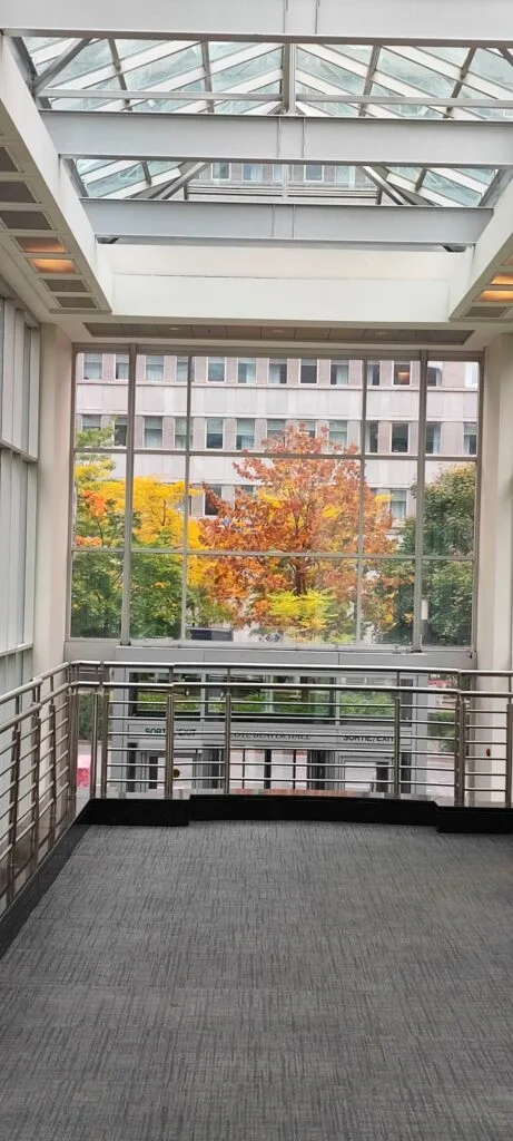 Foto aus „Montréal – Tag 4 und Tag der Abreise“
