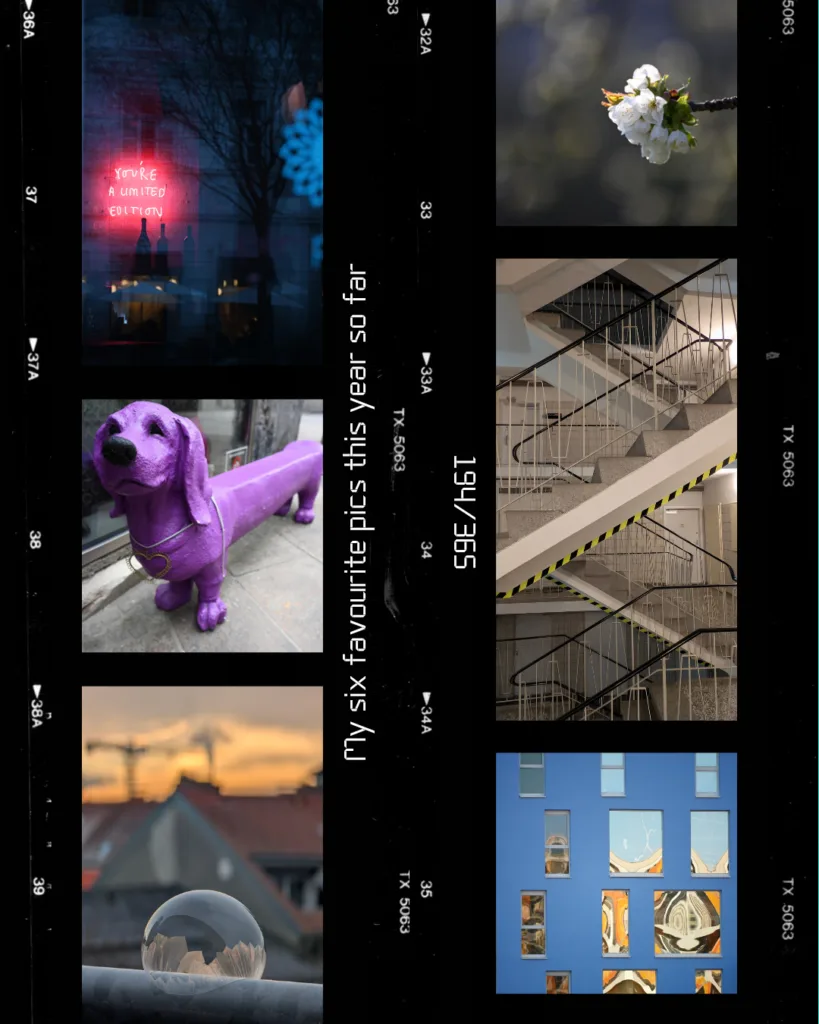 Lexe · My six favourite pics this year so far: Neon Sign, Something lila, Cold, Blooming Trees, Stairs und Windows