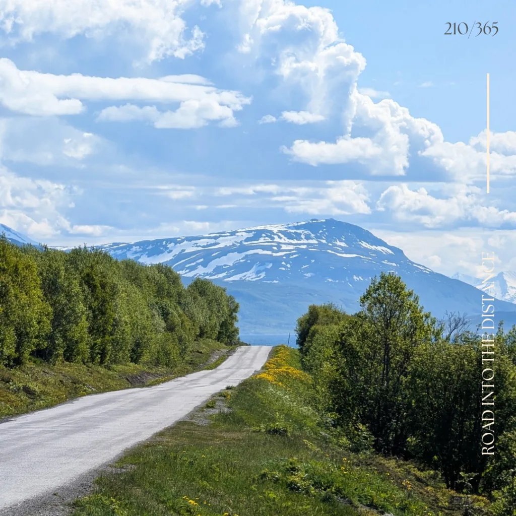 Lexe · Road into the distance: Oops, I did it again. Norwegen 😊