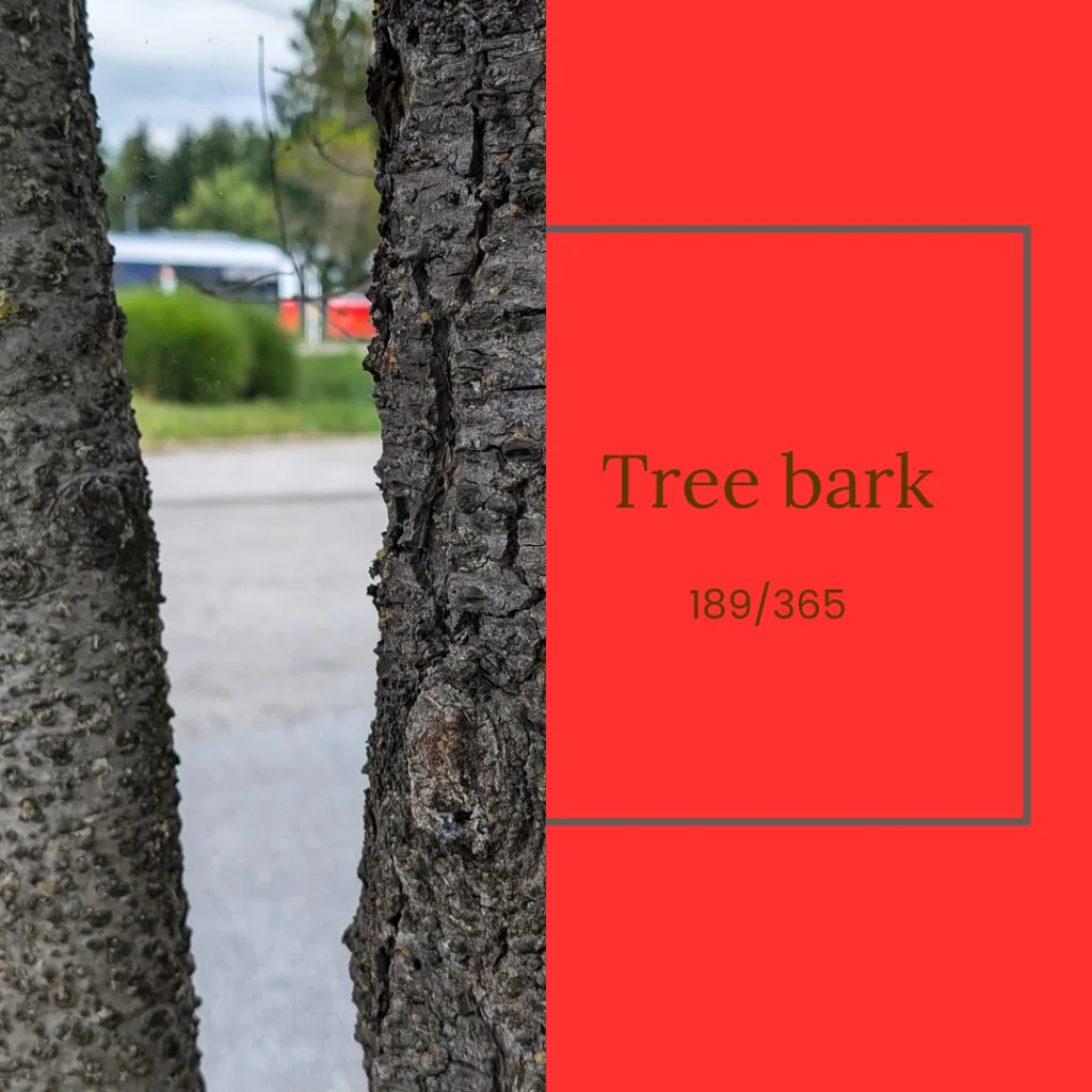 Lexe · Tree bark: Auf dem Weg zum Büro im Vorbeigehen mitgenommen. Baumrinde mit Zug im Hintergrund.