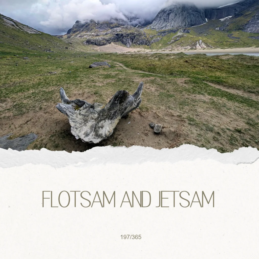 Lexe · Flotsam and jetsam: Laut Gemini handelt es sich um einen massiven Walknochen (Teil eines Walskeletts bzw. Walschädels), der am berühmten Bunes Strand (Bunesstranda) auf den norwegischen Lofoten-Inseln liegt.