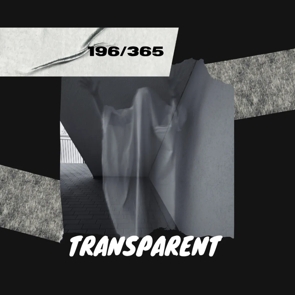 Lexe · Transparent: Ich habe das wörtlich genommen. 🤭 Darf ich vorstellen? Lexe, the friendly ghost! Aufmerksame Fans der Challenge erinnern sich vielleicht an Christian als Geist. Weil er damals mäßig begeistert war über seine Gastrolle, habe ich diesmal das Laken übergezogen und ihn gebeten, "nur"