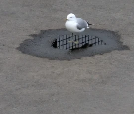 Foto aus „Die E10 im Regen: Von mystischen Momenten, Dauerbaustellen und Fiskekaker-Burgern vom Assistenzsystem“