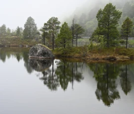 Foto aus „Die E10 im Regen: Von mystischen Momenten, Dauerbaustellen und Fiskekaker-Burgern vom Assistenzsystem“
