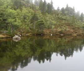 Foto aus „Die E10 im Regen: Von mystischen Momenten, Dauerbaustellen und Fiskekaker-Burgern vom Assistenzsystem“