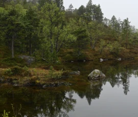 Foto aus „Die E10 im Regen: Von mystischen Momenten, Dauerbaustellen und Fiskekaker-Burgern vom Assistenzsystem“