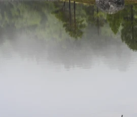 Foto aus „Die E10 im Regen: Von mystischen Momenten, Dauerbaustellen und Fiskekaker-Burgern vom Assistenzsystem“