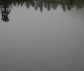 Foto aus „Die E10 im Regen: Von mystischen Momenten, Dauerbaustellen und Fiskekaker-Burgern vom Assistenzsystem“