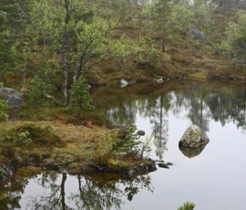 Foto aus „Die E10 im Regen: Von mystischen Momenten, Dauerbaustellen und Fiskekaker-Burgern vom Assistenzsystem“