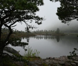 Foto aus „Die E10 im Regen: Von mystischen Momenten, Dauerbaustellen und Fiskekaker-Burgern vom Assistenzsystem“