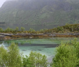 Foto aus „Die E10 im Regen: Von mystischen Momenten, Dauerbaustellen und Fiskekaker-Burgern vom Assistenzsystem“