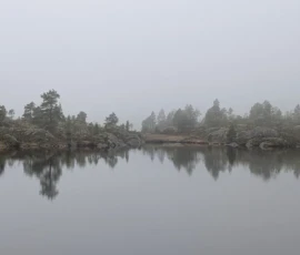 Foto aus „Die E10 im Regen: Von mystischen Momenten, Dauerbaustellen und Fiskekaker-Burgern vom Assistenzsystem“