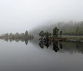 Foto aus „Die E10 im Regen: Von mystischen Momenten, Dauerbaustellen und Fiskekaker-Burgern vom Assistenzsystem“
